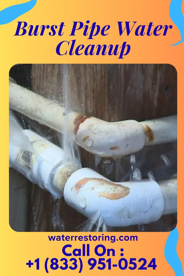 Burst Pipe Water Cleanup in Shallotte, NC