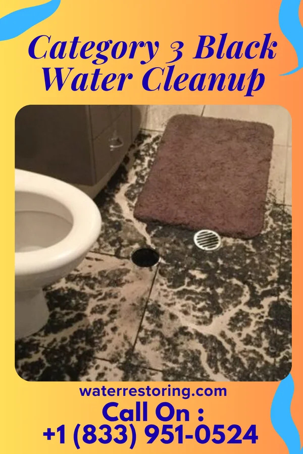 Category 3 Black Water Cleanup in Shallotte, NC