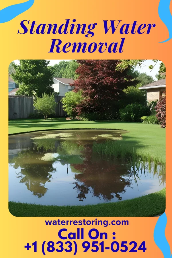 Standing Water Removal in Shallotte, NC
